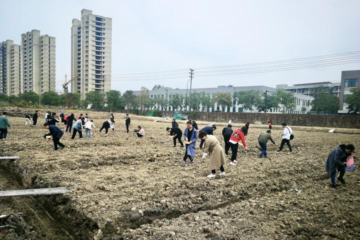 微信图片_20201031221611.jpg 微信图片_20201031221611.jpg