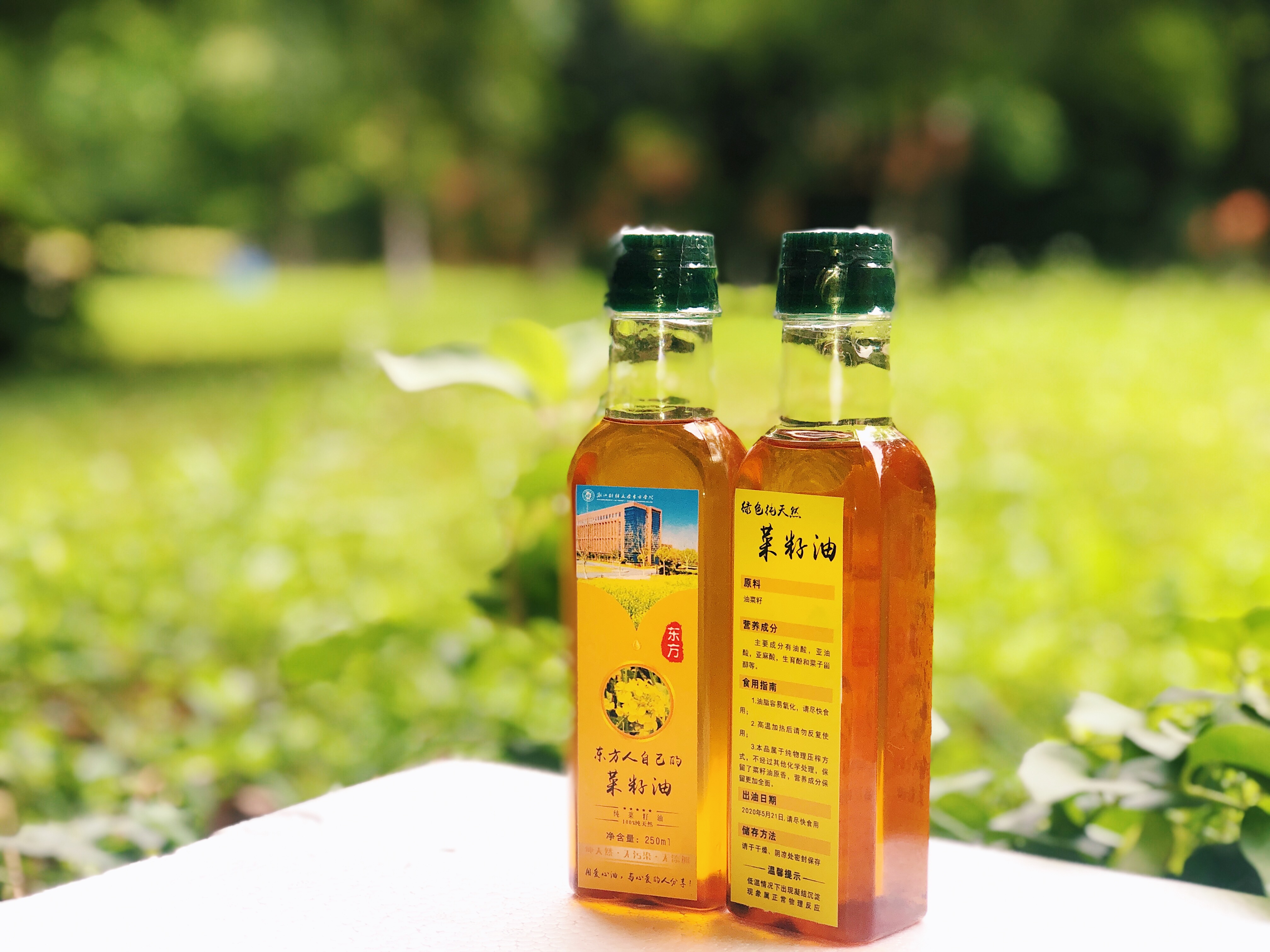 【后勤服务】油菜丰收季|一起享受收获的喜悦